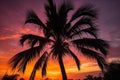 Tropical Sunset Silhouette: Palm Tree Against Golden Sky