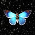 Frosty Flutter, Generative AI