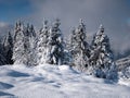 a beautiful snowy landscape in the Alps in France