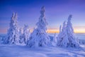 Stunning winter landscape Royalty Free Stock Photo