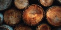 Stunning Wood Texture CloseUp of Sawn Logs for Design Inspiration Royalty Free Stock Photo