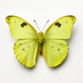 Minimal Retouching: Yellow Butterfly On White Background