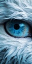 Stunning Yeti Eye Close-up Narrative-driven Visual Storytelling In Monochromatic Color Schemes