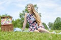 Stunning young blonde woman - picnic Royalty Free Stock Photo