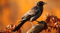 Stunning Zbrush Art: Black Crow Perched On Autumn Branch
