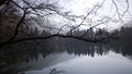 A stunningly beautiful frame. The mirror pond. Reflection of mountains and forests on the water surface. Branches of bald trees