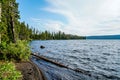 Stunning Landscapes Throughout Yellowstone Royalty Free Stock Photo