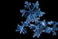 A Stunningly Beautiful Snowflake Macro Shot