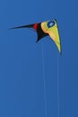 Stunt-kite flying