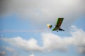 Aerobatic airplane emits smoke trail in stunning performance against blue sky Royalty Free Stock Photo