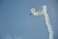 A stunt plane performance at an air show. Royalty Free Stock Photo