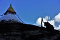 A stupa with Buddha\'s Eyes and a Yak in Nepalese Himalayas Royalty Free Stock Photo