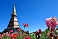 The Stupa Phra Mahathat Naphamethanidon