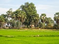 Stupa under the trees - Ba Chuc