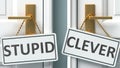 Stupid or clever as a choice in life - pictured as words Stupid, clever on doors to show that Stupid and clever are different