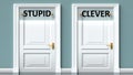 Stupid and clever as a choice - pictured as words Stupid, clever on doors to show that Stupid and clever are opposite options