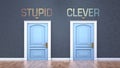 Stupid and clever as a choice - pictured as words Stupid, clever on doors to show that Stupid and clever are opposite options