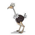 Stupid looking ostrich