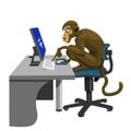 Stupid monkey with computer Royalty Free Stock Photo