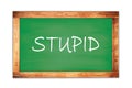 STUPID text written on green school board Royalty Free Stock Photo