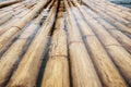 Bamboo floating on the water over the dam Royalty Free Stock Photo