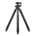 Sturdy black tripod with three adjustable legs, featuring a ball head and quick-release Royalty Free Stock Photo