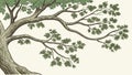 The sturdy branches of a large, leafy oak tree illustration, vector design Generative AI Royalty Free Stock Photo
