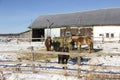 Sturdy brown farm horses standing staring or eating from a large hay feeder