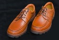 Sturdy brown laced walking shoes.