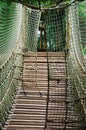 Sturdy Rope Bridge Royalty Free Stock Photo
