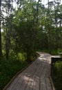 Shaded Wooden Walkway in Barataria Preserve Louisiana Royalty Free Stock Photo