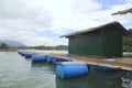 Sturgeon cage farming in Tuyen Lam lake in Da Lat city