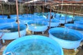 Sturgeon fish breeding farm in Tuyen Lam lake in Da Lat city