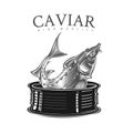 Sturgeon fish head and tail from can in engraving style. Logo for canned fish or caviar on white