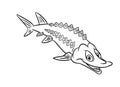 Sturgeon fish illustration coloring pages