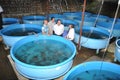 A sturgeon hatchery is being introduced to farmers in Tuyen Lam lake, Da Lat city