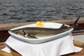 Sturgeon on a plate Royalty Free Stock Photo