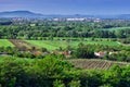 Sturovo from vineyards over Kamenica nad Hronom village