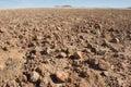 Sturt stony desert, Australia. Royalty Free Stock Photo
