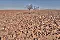 Sturt stony desert, South Australia