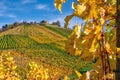 Stuttgart Germany Grabkapelle Vineyards Autumn Fall Season Beaut Royalty Free Stock Photo