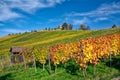 Stuttgart Germany Grabkapelle Vineyards Autumn Fall Season Beaut