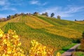 Stuttgart Germany Grabkapelle Vineyards Autumn Fall Season Beaut Royalty Free Stock Photo