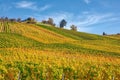 Stuttgart Germany Grabkapelle Vineyards Autumn Fall Season Beaut Royalty Free Stock Photo