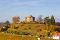 Stuttgart Grabkapelle grave chapel WÃÂ¼rttemberg Rotenberg autumn fall vineyard travel in Germany