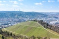 Stuttgart Landscape Germany TV Tower Vineyards Beautiful Blue Sk Royalty Free Stock Photo