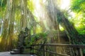 Stutue in Sacred Monkey Forest, Ubud, Bali, Indonesia Royalty Free Stock Photo