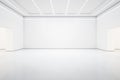 StyBright white lish gallery interior with empty wall Royalty Free Stock Photo