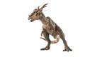 Stygimoloch Dinosaur on white background Royalty Free Stock Photo