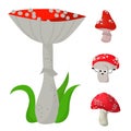 Amanita mushrooms dangerous set poisonous season toxic fungus food illustration. Royalty Free Stock Photo